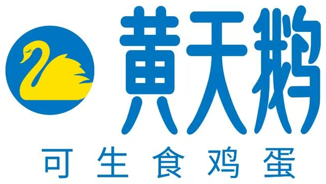 黄天鹅 Logo